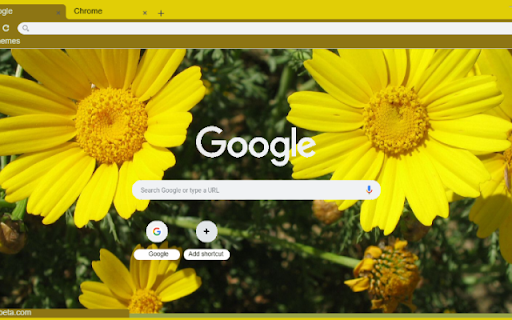Crown Daisy from Chrome web store to be run with OffiDocs Chromium online Crown Daisy from Chrome web store to be run with OffiDocs Chromium online