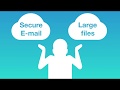 Cryptshare.express  from Chrome web store to be run with OffiDocs Chromium online
