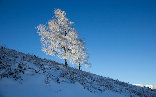 Crystal Stillness  from Chrome web store to be run with OffiDocs Chromium online