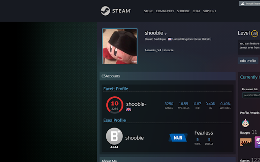 CS Accounts Extension  from Chrome web store to be run with OffiDocs Chromium online