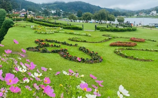 Cultivated Flora Along Gregory Lake  from Chrome web store to be run with OffiDocs Chromium online