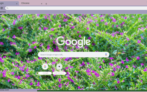Cuphea  from Chrome web store to be run with OffiDocs Chromium online