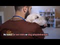 Быстрое лечение тревоги разлуки с собакой из интернет-магазина Chrome для запуска с помощью OffiDocs Chromium онлайн
