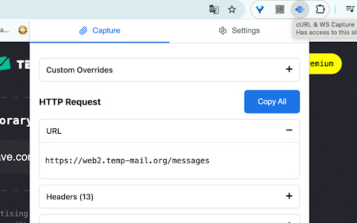 cURL  WS Capture  from Chrome web store to be run with OffiDocs Chromium online
