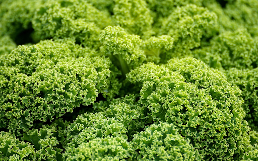 Curly Lettuce  from Chrome web store to be run with OffiDocs Chromium online