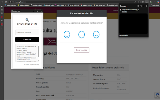 CURPDownloader  from Chrome web store to be run with OffiDocs Chromium online