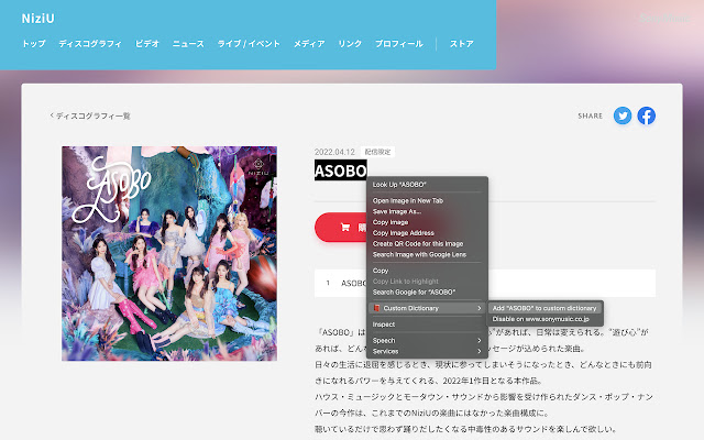Custom Dictionary  from Chrome web store to be run with OffiDocs Chromium online
