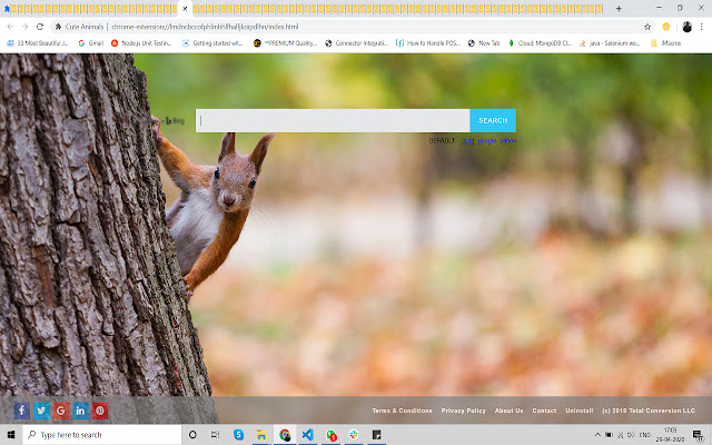 Cute Animals  from Chrome web store to be run with OffiDocs Chromium online