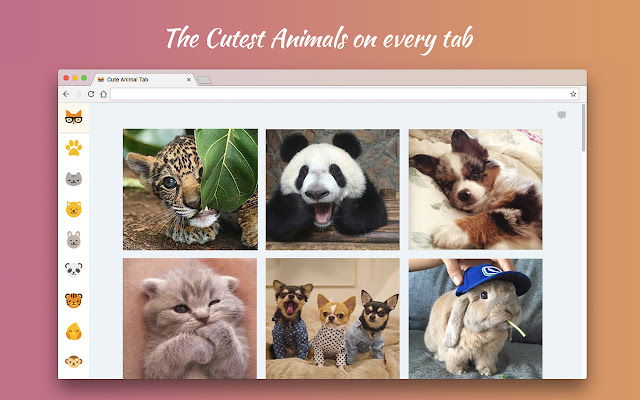 Cute Animal Tab New Tab Theme  from Chrome web store to be run with OffiDocs Chromium online