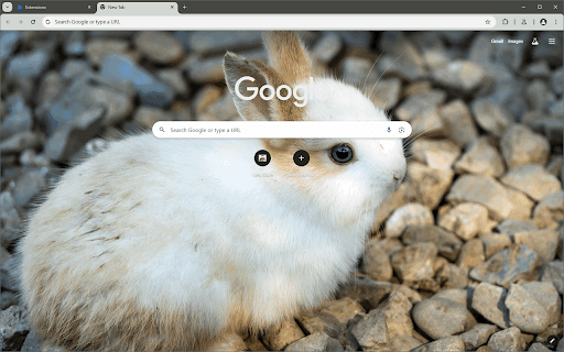 Cute Bunny (4K)  from Chrome web store to be run with OffiDocs Chromium online