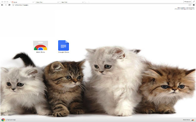 Cute Cats  from Chrome web store to be run with OffiDocs Chromium online