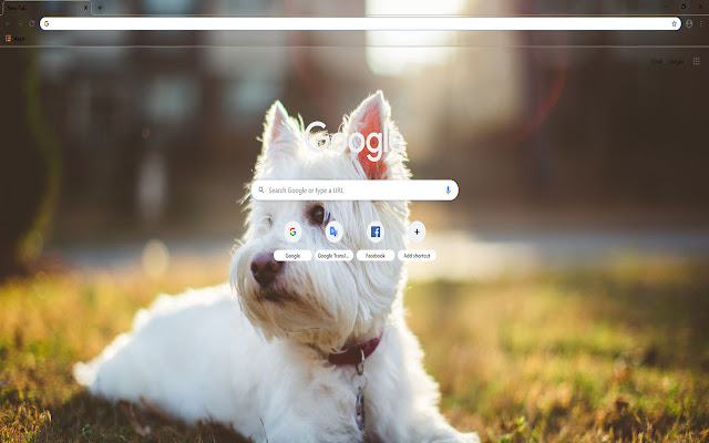 Cute Dog  from Chrome web store to be run with OffiDocs Chromium online