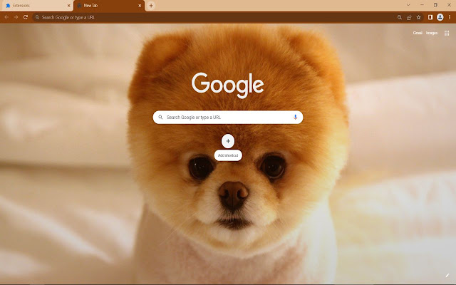 Cute Dog Boo aus dem Chrome-Webshop, der mit OffiDocs Chromium online ausgeführt werden soll