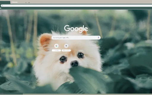 Cute Doggie  from Chrome web store to be run with OffiDocs Chromium online