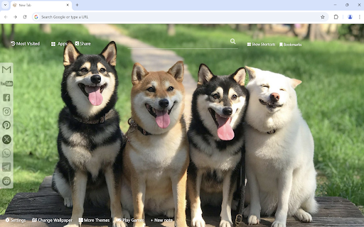 Cute Dogs  Puppies Wallpaper  from Chrome web store to be run with OffiDocs Chromium online