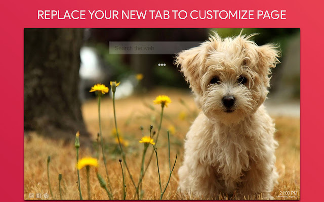 Cute Dog Wallpaper HD Custom New Tab  from Chrome web store to be run with OffiDocs Chromium online