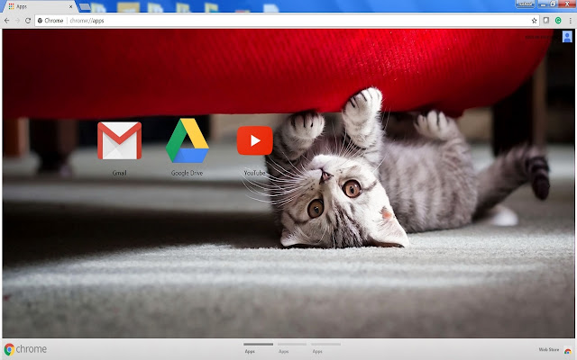 Cutest Cat  from Chrome web store to be run with OffiDocs Chromium online