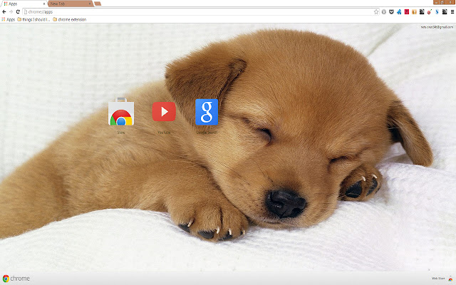 Cuttest Sleeping Puppy  from Chrome web store to be run with OffiDocs Chromium online