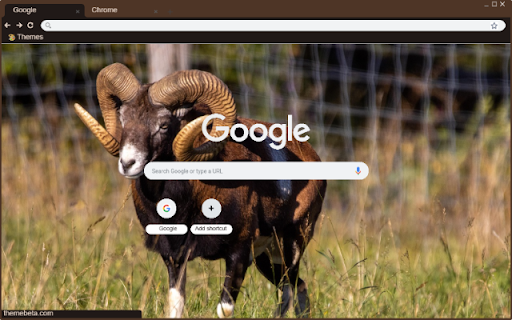 Cuu Rung  from Chrome web store to be run with OffiDocs Chromium online