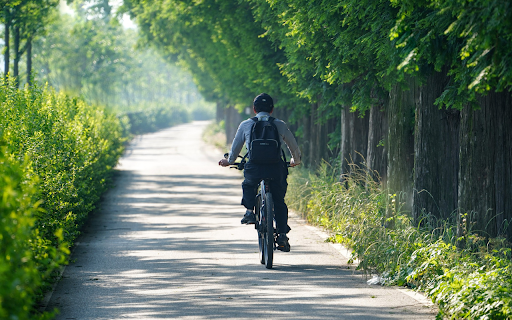 Cycling  from Chrome web store to be run with OffiDocs Chromium online