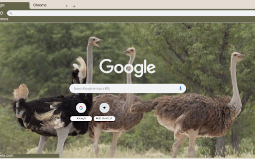 Da Dieu  from Chrome web store to be run with OffiDocs Chromium online