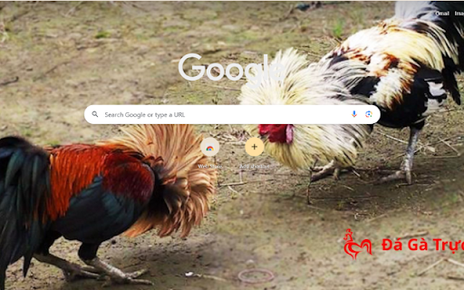 Da Ga Truc Tiep Live Thoma Cock Fighting  from Chrome web store to be run with OffiDocs Chromium online