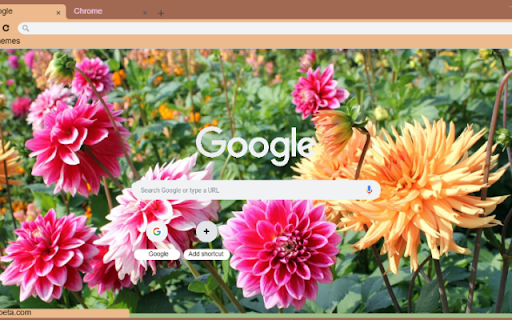 Dahlia  from Chrome web store to be run with OffiDocs Chromium online