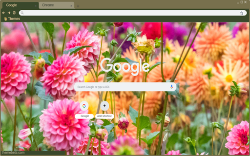 Dahlia flowers  from Chrome web store to be run with OffiDocs Chromium online