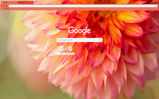 Dahlia Petals  from Chrome web store to be run with OffiDocs Chromium online