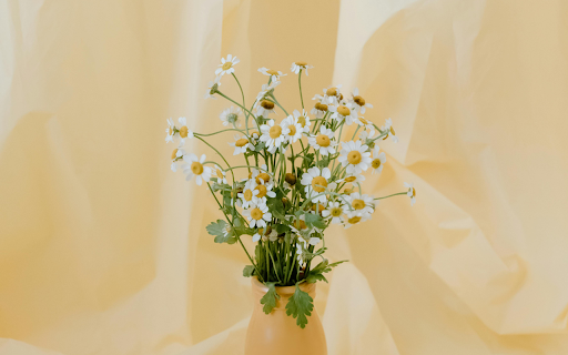 Daisies in a Flower Vase  from Chrome web store to be run with OffiDocs Chromium online