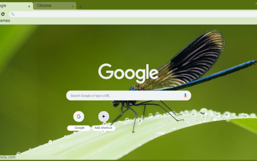 Damselfly  from Chrome web store to be run with OffiDocs Chromium online