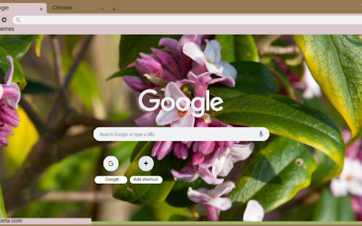 Daphne  from Chrome web store to be run with OffiDocs Chromium online
