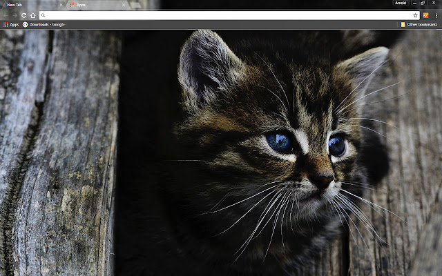 Dark Kitten  from Chrome web store to be run with OffiDocs Chromium online