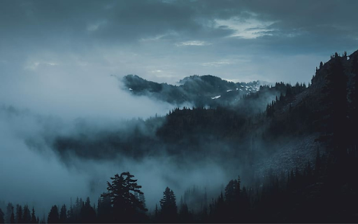 Dark Moody Forest  from Chrome web store to be run with OffiDocs Chromium online