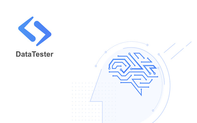 DataTester  from Chrome web store to be run with OffiDocs Chromium online