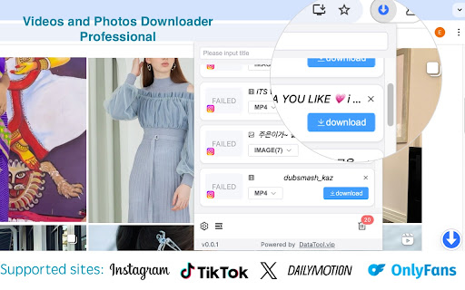 DataTool Video Downloader  from Chrome web store to be run with OffiDocs Chromium online