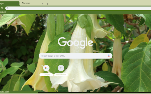 Datura  from Chrome web store to be run with OffiDocs Chromium online