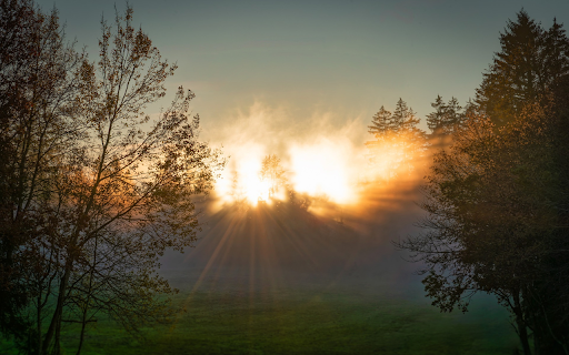Dawn light  from Chrome web store to be run with OffiDocs Chromium online