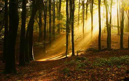 Dawn sunlight  from Chrome web store to be run with OffiDocs Chromium online