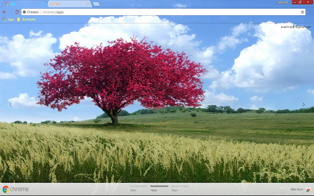 Dazzling Nature  from Chrome web store to be run with OffiDocs Chromium online
