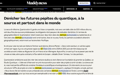 Débusqueur danglicismes  from Chrome web store to be run with OffiDocs Chromium online