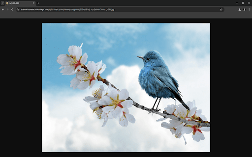 DDG Image Proxy Redirect  from Chrome web store to be run with OffiDocs Chromium online