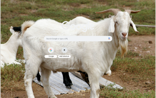 De from Chrome web store to be run with OffiDocs Chromium online De from Chrome web store to be run with OffiDocs Chromium online