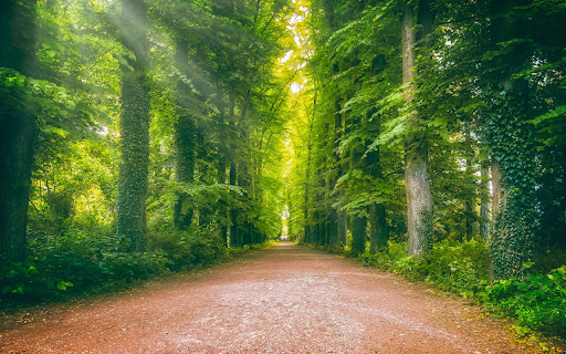 Deep forest road  from Chrome web store to be run with OffiDocs Chromium online