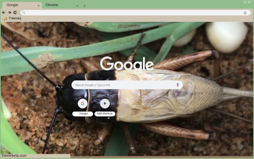 De Gay  from Chrome web store to be run with OffiDocs Chromium online