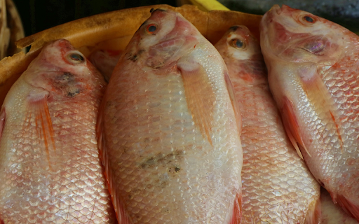 Delicious fresh fish  from Chrome web store to be run with OffiDocs Chromium online
