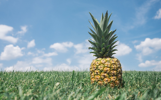Delicious green pineapple  from Chrome web store to be run with OffiDocs Chromium online