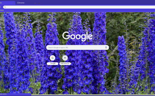 Delphinium  from Chrome web store to be run with OffiDocs Chromium online