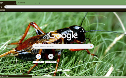 De Men  from Chrome web store to be run with OffiDocs Chromium online