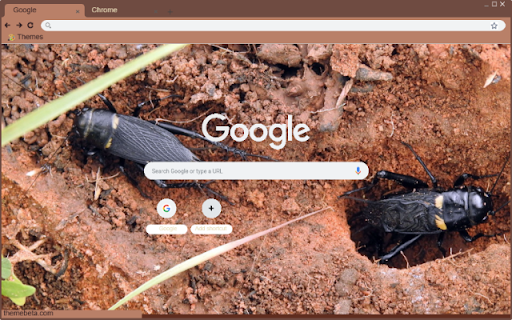 De Nhay  from Chrome web store to be run with OffiDocs Chromium online